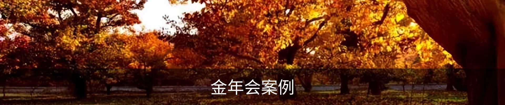 金年会案例
